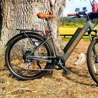 Village Bicycle Rental Livraison gratuite à The Villages, Floride 7