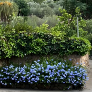 Soller Valley Walk with Orange Farm Visit 39