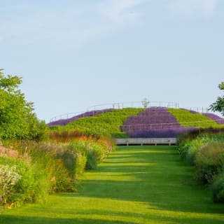 Visite du jardin RHS Wisley 3