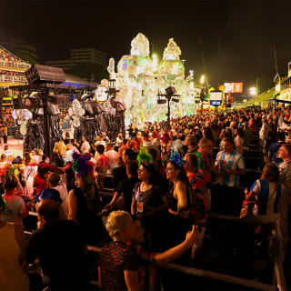 Carnaval do Rio de Janeiro 2025 - Frisas 2