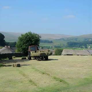 Full-Day Yorkshire Dales Tour from York 6