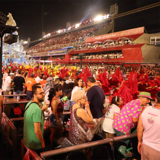 Carnaval do Rio de Janeiro 2025 - Frisas 3
