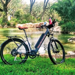 Village Bicycle Rental Livraison gratuite à The Villages, Floride 8