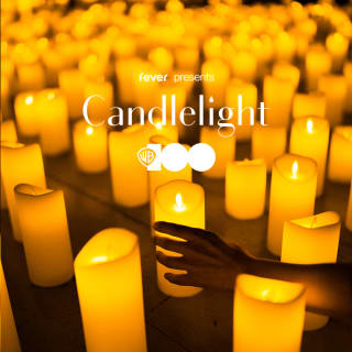 Candlelight: 100 Years of Warner Bros. 2