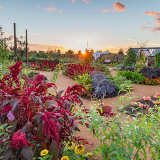 Visite du jardin RHS Wisley 4