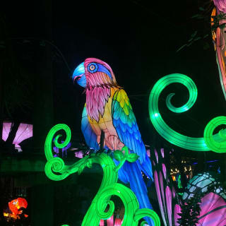 Luminosa 2026 — Miami, Reimagined in Light 6