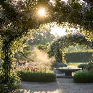 Visite du jardin RHS Wisley 5