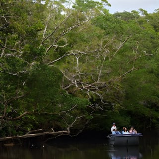 Daintree River 'Dawn' Cruise with the Daintree Boatman 22