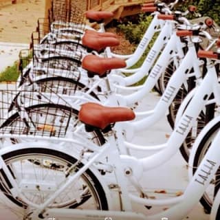 Village Bicycle Rental Livraison gratuite à The Villages, Floride 10
