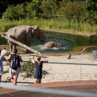 Copenhagen ZOO : billet coupe-file 58