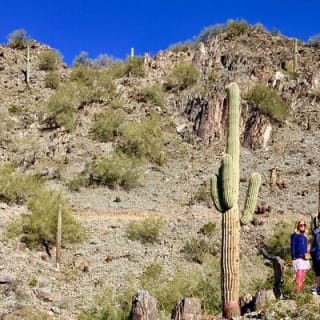 Amazing 2-Hour Guided Hiking Adventure in the Sonoran Desert 18