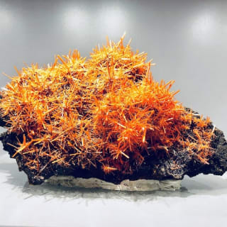 Visite de la Galerie de géologie et de minéralogie 2