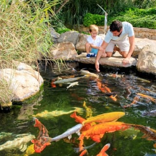 Palma Aquarium: Free entry + Optional 3D Aquadome Cinema 2