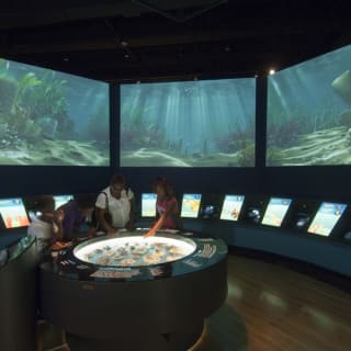 Field Museum: ingresso anticipato, visita guidata ed esposizioni 4