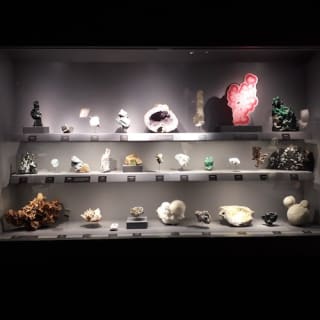 Visite de la Galerie de géologie et de minéralogie 3