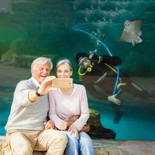 Palma Aquarium: Free entry + Optional 3D Aquadome Cinema 3