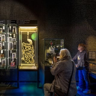 ARTIS Amsterdam Royal Zoo & Micropia: Eintrittskarte ohne Warteschlange 39