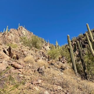 Amazing 2-Hour Guided Hiking Adventure in the Sonoran Desert 21