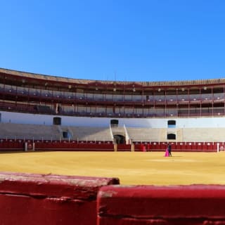 Arena di La Malagueta: Biglietto d'ingresso + audioguida 2
