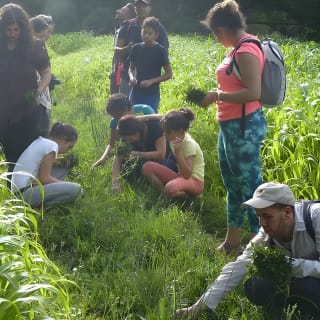 Visite guidée d'une journée dans la vallée de Tassaout 4