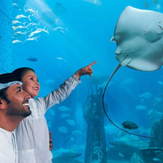 Aquaventure Waterpark + Lost Chambers Aquarium 6