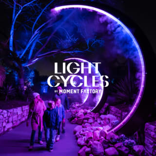 Light Cycles: Una passeggiata notturna che brilla attraverso la natura, la luce e il suono 1