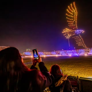 WILD: le spectacle de drones - Ipswich - Carte-cadeau 3