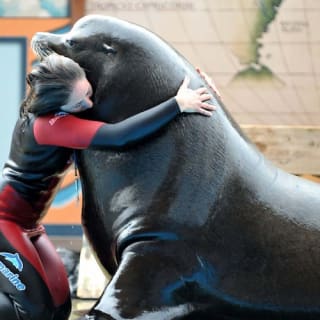 Zoomarine Roma: un'avventura per tutta la famiglia 3