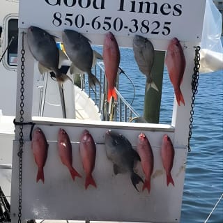 Shared Deep Sea Fishing Trip 10