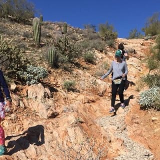 Amazing 2-Hour Guided Hiking Adventure in the Sonoran Desert 28