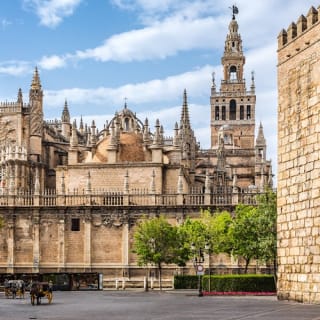 Reales Alcázares de Sevilla + Catedral de Sevilla: Visita guiada 6