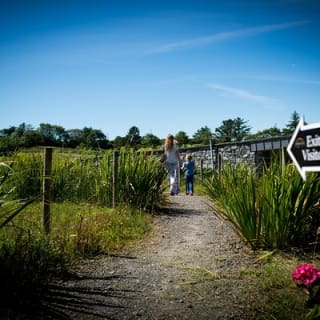 Guided Doolin Cave Tour: Experience Europe's Largest Stalactite 5