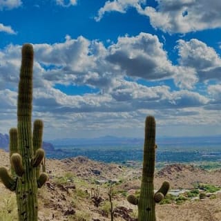 Amazing 2-Hour Guided Hiking Adventure in the Sonoran Desert 29