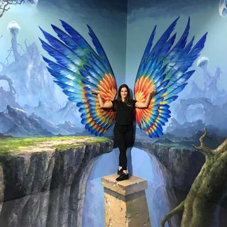 ArtVo Illusions Experience 4