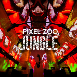 Pixel Zoo Jungle - Joue. Apprends. Explore. 1