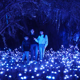 Light Cycles: ¡Una experiencia inmersiva nocturna entre luces y sonidos de la naturaleza! - Tarjeta Regalo 3