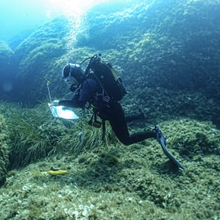 Tuent Adventure Activities (Diving - Snorkel trip - Kayak/SUP rental) 8
