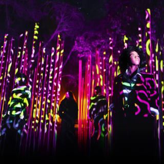 Light Cycles: ¡Una experiencia inmersiva nocturna entre luces y sonidos de la naturaleza! - Tarjeta Regalo 4