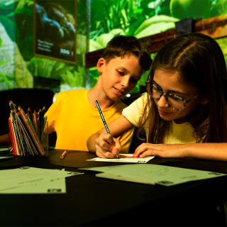 Pixel Zoo Jungle - Joue. Apprends. Explore. 5