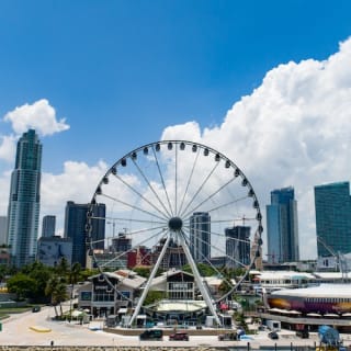 Skyviews Miami Observation Wheel 3