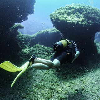 Tuent Adventure Activities (Diving - Snorkel trip - Kayak/SUP rental) 5