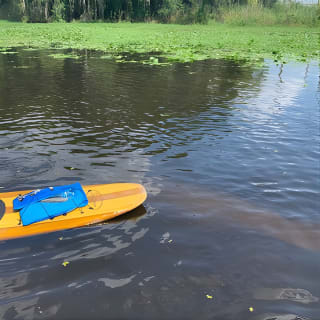 Orlando Manatee et Olde Florida History Adventure Tour 6