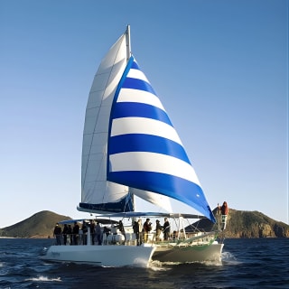 Marine Discovery + Snorkeling Cruise - Port Stephens 2
