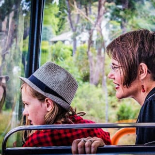 Tour turistico di 1 ora nei Blue Mountains 10