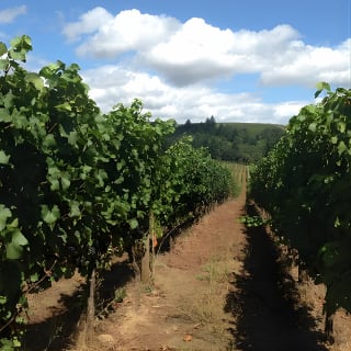 Willamette Valley Wine Tasting Tour from Portland 4