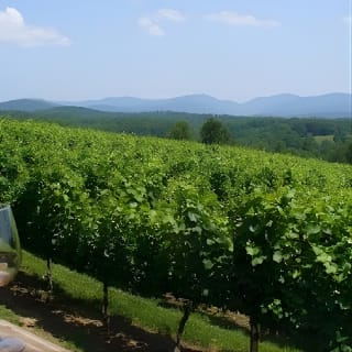 North Georgia Wine Country Tour da Atlanta 4
