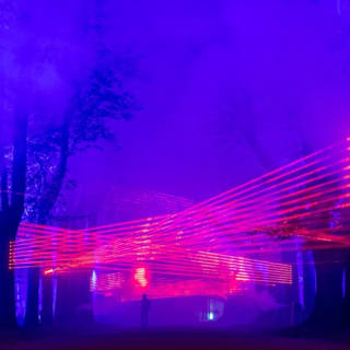 Serralves Park: admission ticket and Treetop Walk 6