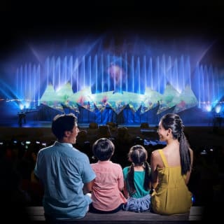 Wings of Time: outdoor night show! 3