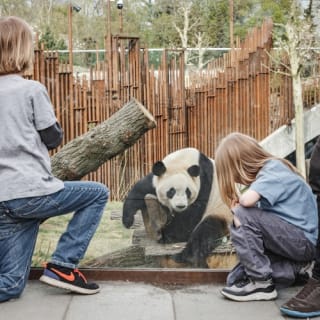 Copenhagen ZOO : billet coupe-file 105