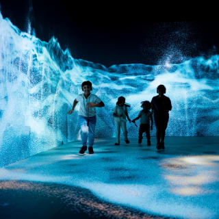 L'exposition Timewalk - Carte-cadeau 4